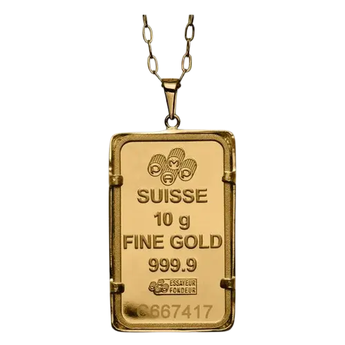 pamp-102.webp
